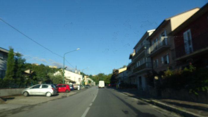 incubo topi in molte zone della citta appello urgente all asl da ariano