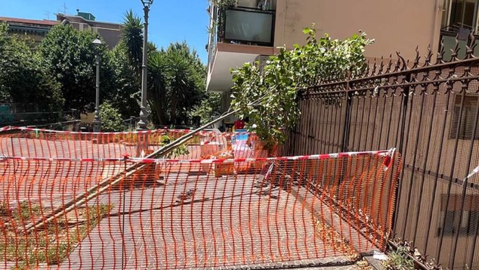 vomero via scarlatti un altro albero si abbatte al suolo