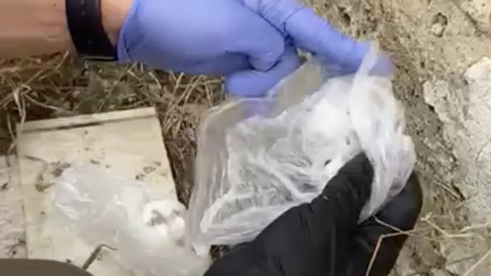 hanno entrambi 17 anni girano in un auto bianca e spacciano droga