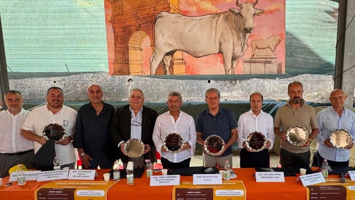 dal 31 luglio al 3 agosto a san giorgio la molara la festa della marchigiana