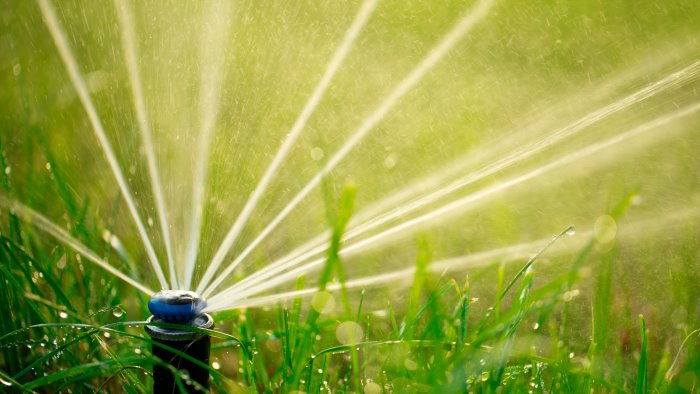 allarme spreco d acqua al parco arbostella l amministrazione intervenga