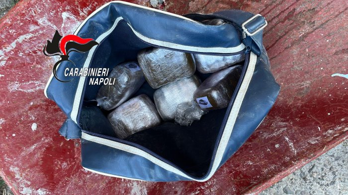 droga e cani detenuti illegalmente e sottoposti a maltrattamenti