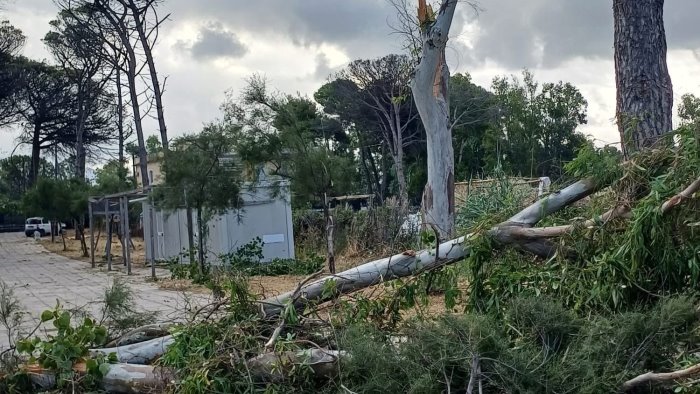la furia del vento mette in ginocchio capaccio paestum danni e disagi