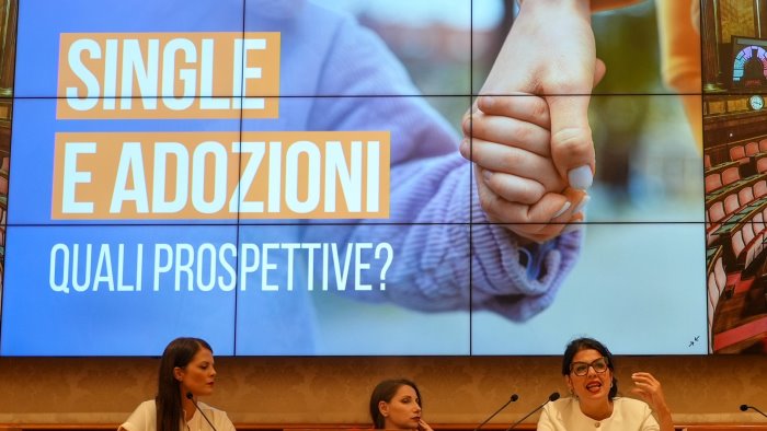 adozioni bilotti m5s ddl per quelle dei single dopo pronuncia consulta