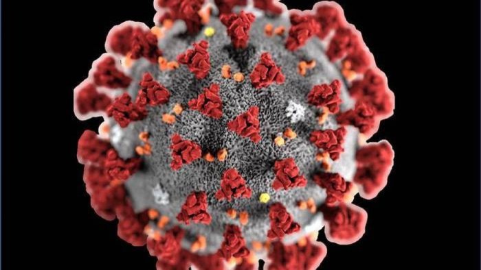 coronavirus contagiata 16enne rientrata da malta