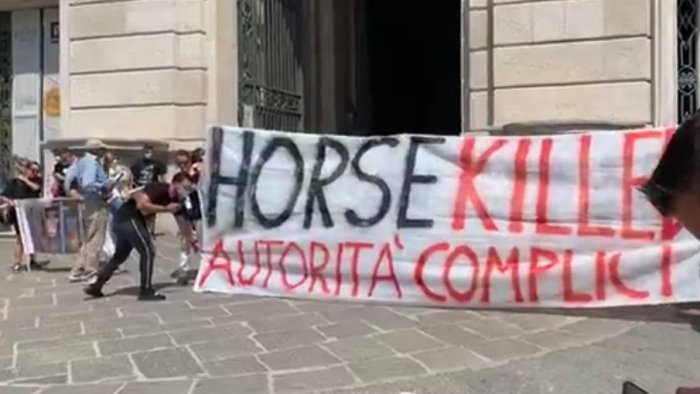 cavallo morto autorita complici animalisti alla reggia