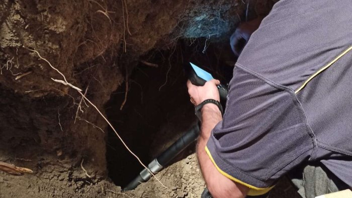 intrappolato nella tana di un tasso salvato cane da caccia