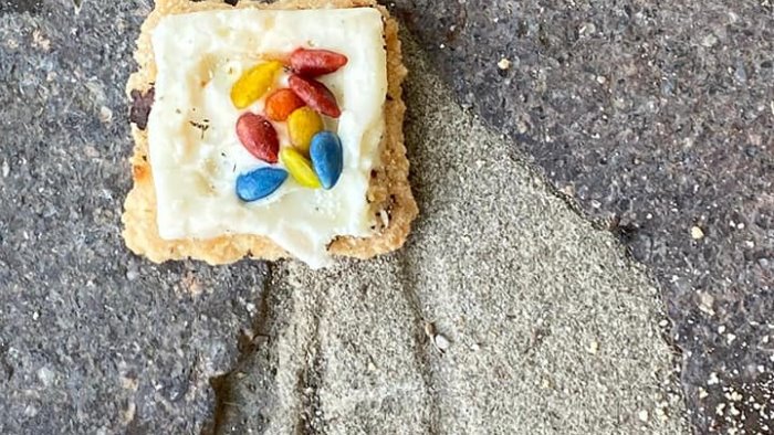 bellizzi continua la caccia all attentatore dei cani