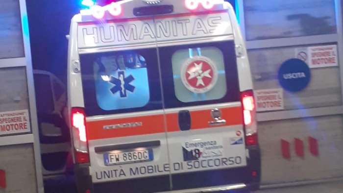 punto dalle api muore 65enne