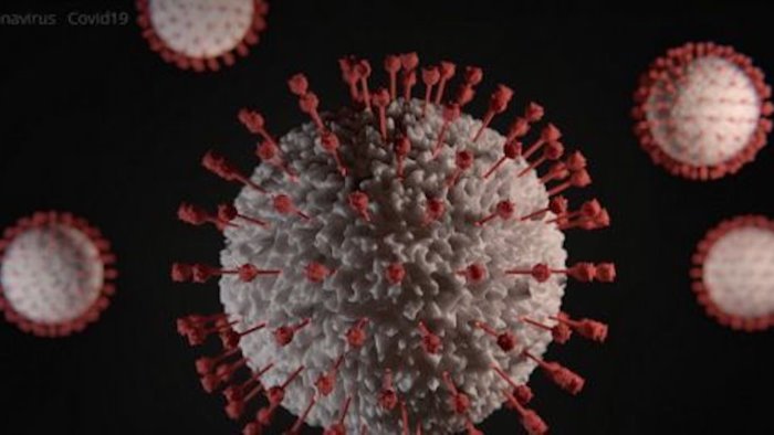 coronavirus altri 5 contagi in 24 ore in campania