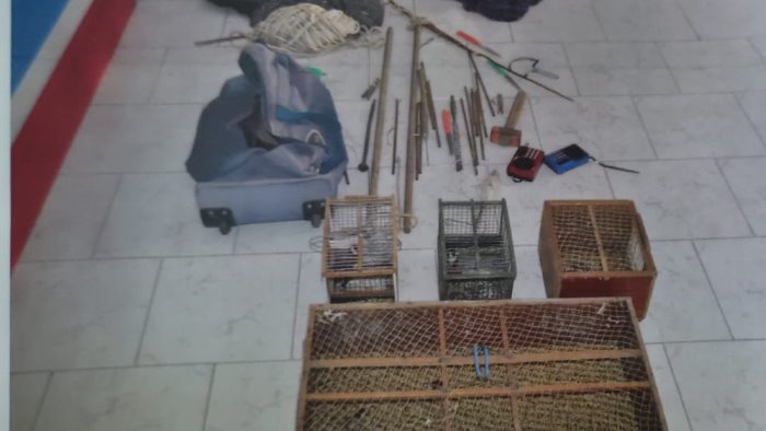 cardellini destinati al mercato nero beccati due napoletani