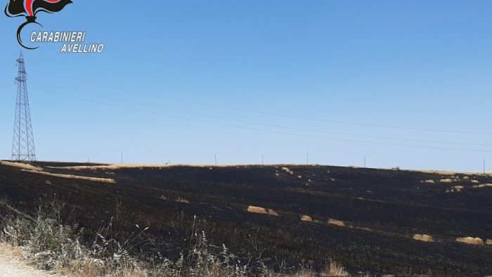 appicca il fuoco in un campo di grano incastrato da gps e telecamere