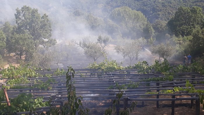 incendio a monte san giacomo fiamme in un vigneto in localita galotti