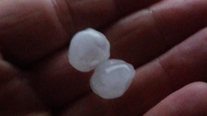 danni maltempo vigneti distrutti gli agronomi serve prevenzione