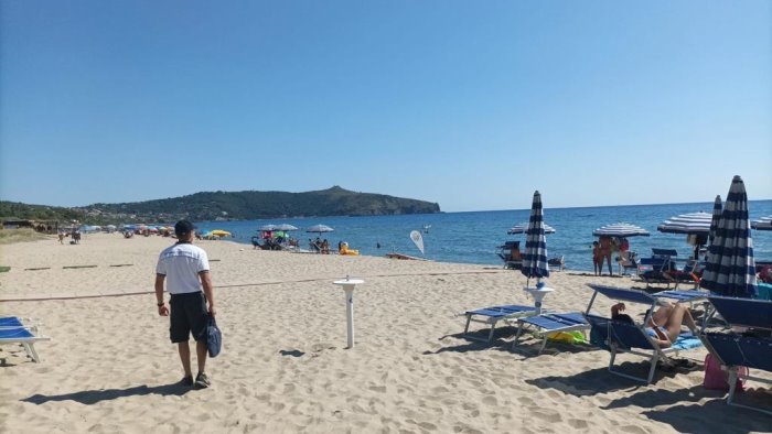 da sapri a pisciotta controlli a tappeto in spiaggia e sulla filiera ittica