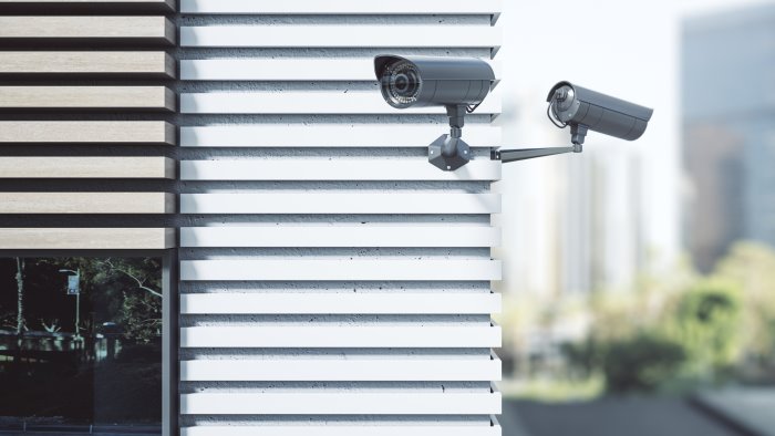 uccisa da pirata della strada la verita nelle telecamere di sorveglianza