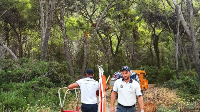camerota blitz della guardia costiera sequestrate attrezzature da mare