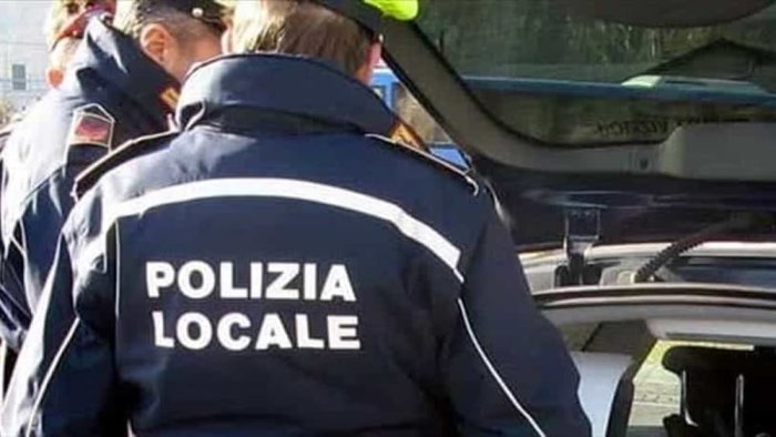 aggredisce i vigili per una multa 38enne denunciato ad ascea