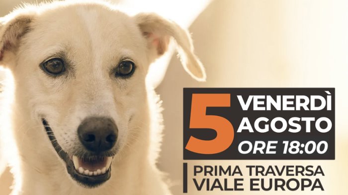 intitolata al cane angelo la seconda area di sgambamento a nocera superiore