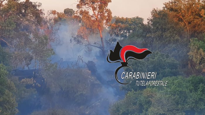 parco del partenio 3 ettari di foresta in fiamme denunciato 55enne