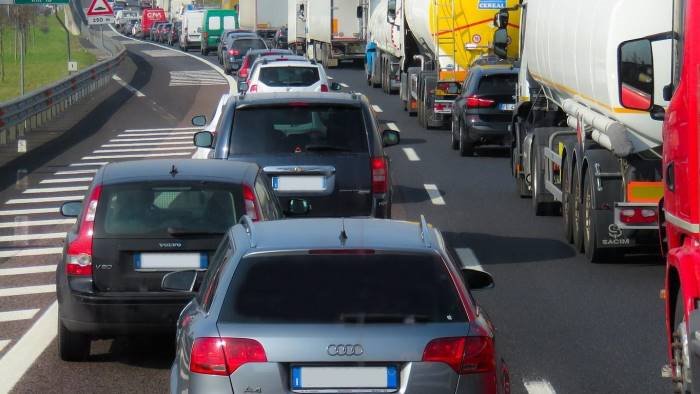 mucca vagante in autostrada traffico in tilt sulla a2 nel salernitano