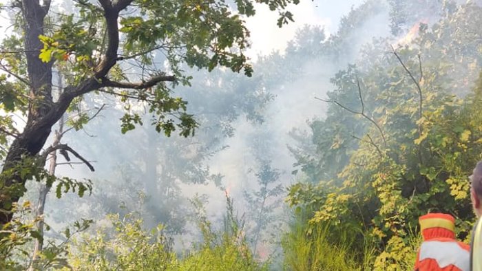 incendi in provincia di salerno fiamme ad agropoli e cava