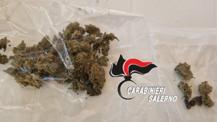 nascondeva la droga in casa 37enne di casal velino denunciato dai carabinieri
