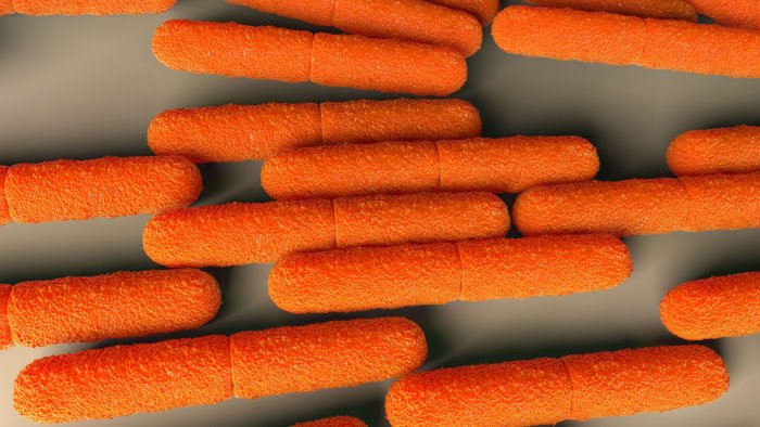 intossicazioni da botulino a diamante salgono a nove gli indagati