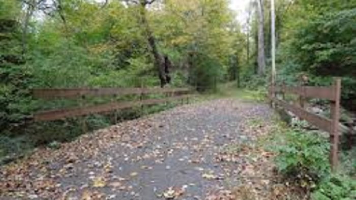 festeggia compleanno poi sparisce trovato senza vita il preside remo