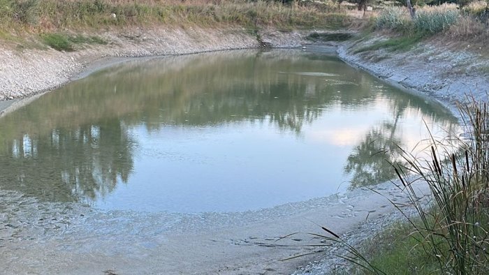 la siccita mette in ginocchio ulivi e colture e allarme in valle ufita