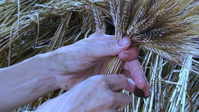 da fontanarosa a flumeri sara un ferragosto ricco di emozioni quello di domani