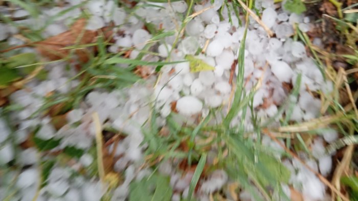 grandinata lega la regione riapra bando scaduto a maggio