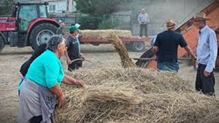 zungoli momento celebrativo dedicato alla trebbiatura e al raccolto