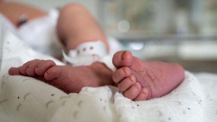 neonati morti a bolzano il batterio killer nei dispenser dei biberon