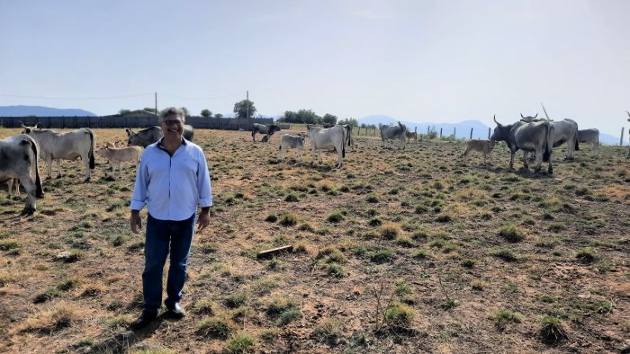 incendi estivi peretti campania ora a rischio alluvioni e fenomeni estremi