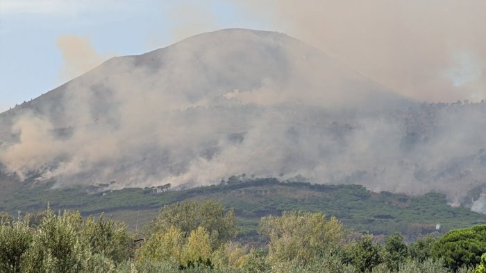 incendio pineta a terzigno controlli piu incisivi su terreni incolti e depositi
