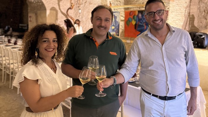 vigneti l importanza della rete nei territori del greco di tufo