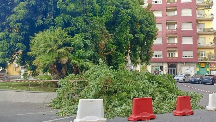 napoli piazza degli artisti ennesima tragedia sfiorata