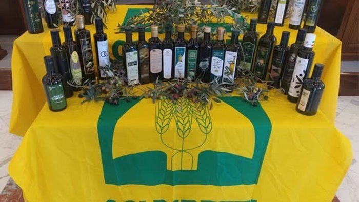 dazi coldiretti filiera italia da vino a olio stangata per oltre 1 miliardo