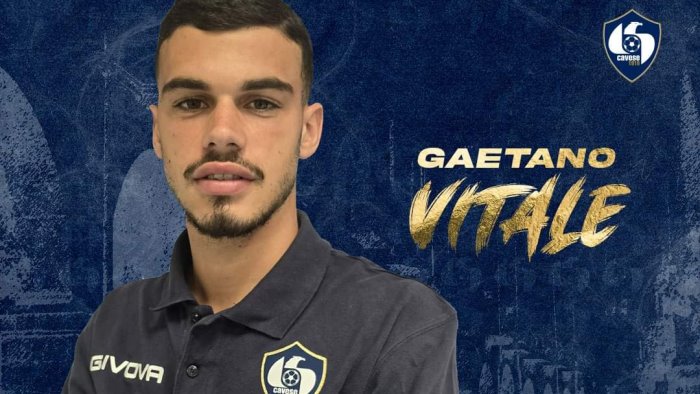 salernitana vitale al cerignola avvicina tascone cosa manca per chiudere