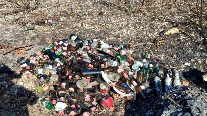 ariano trave e tesoro degrado scempio rifiuti e cuccioli abbandonati