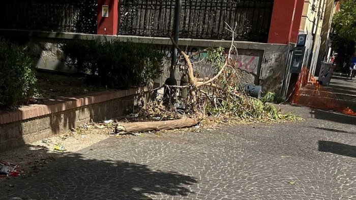 napoli marciapiede transennato da un mese dopo caduta ramo