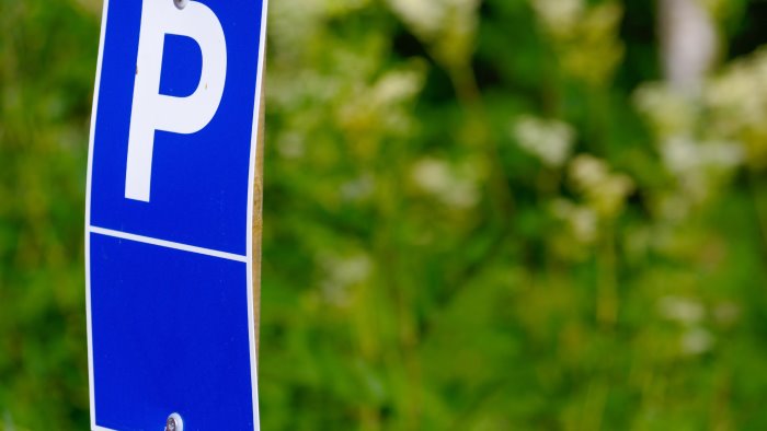 invasione strisce blu petizione di dante santoro violano codice della strada