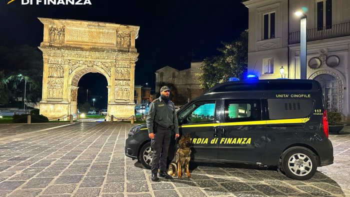 guardia di finanza servizi antidroga nel sannio sequestri e segnalazioni