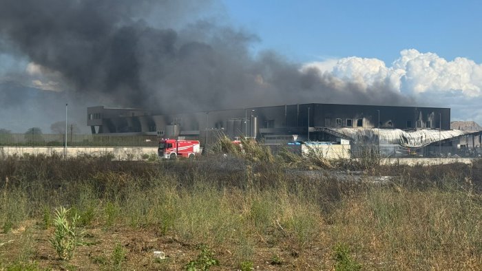 caseificio distrutto dal rogo valori delle diossine superiori alla media