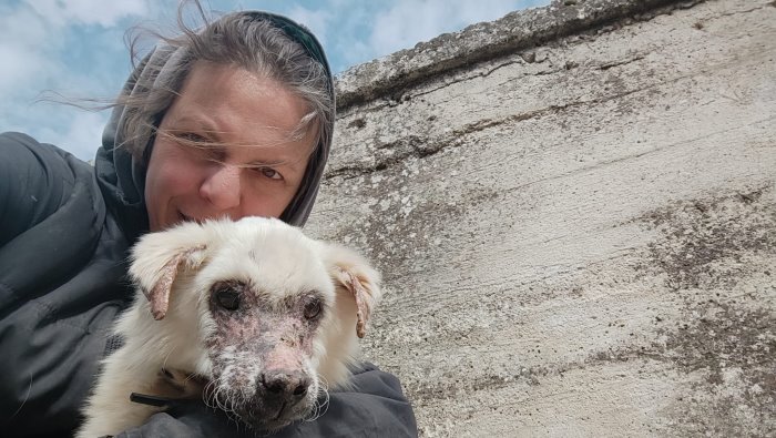il rifugio di rosa rischia di chiudere decine di cani senza un luogo sicuro