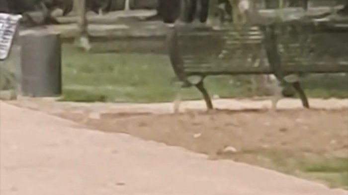 san marzano sul sarno mamme trovano il cadavere di un uomo nel parco