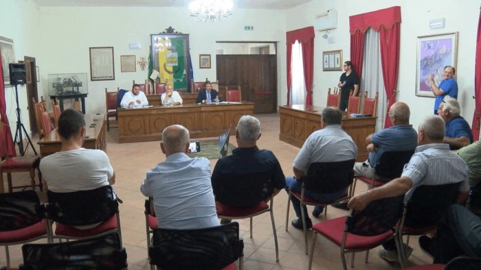 crisi delle nocciole situazione preoccupante in irpinia