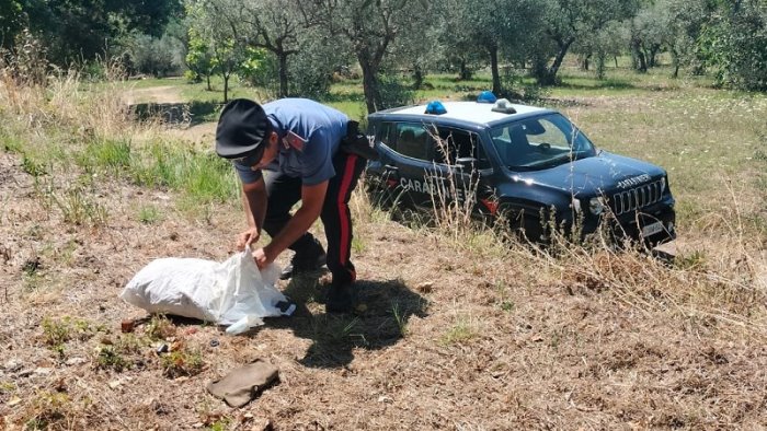 fontanarosa buoni postali rubati a un anziano recuperati e restituiti