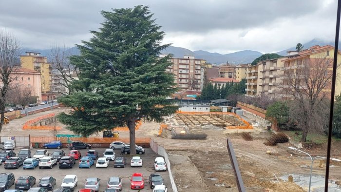 avellino cancella i simboli della sua storia addio all albero di rione corea